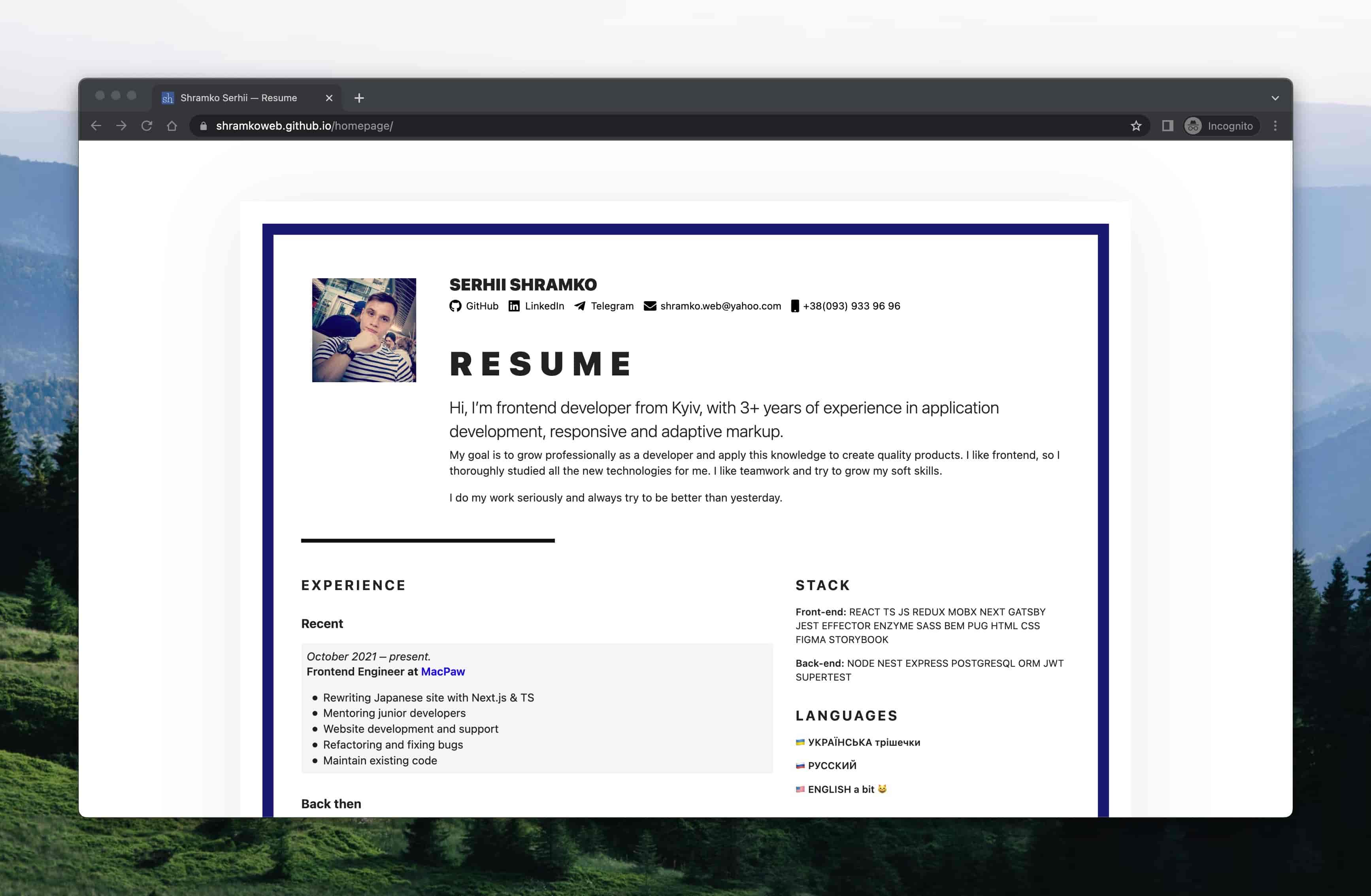 S.Shramko personal old website screenshot